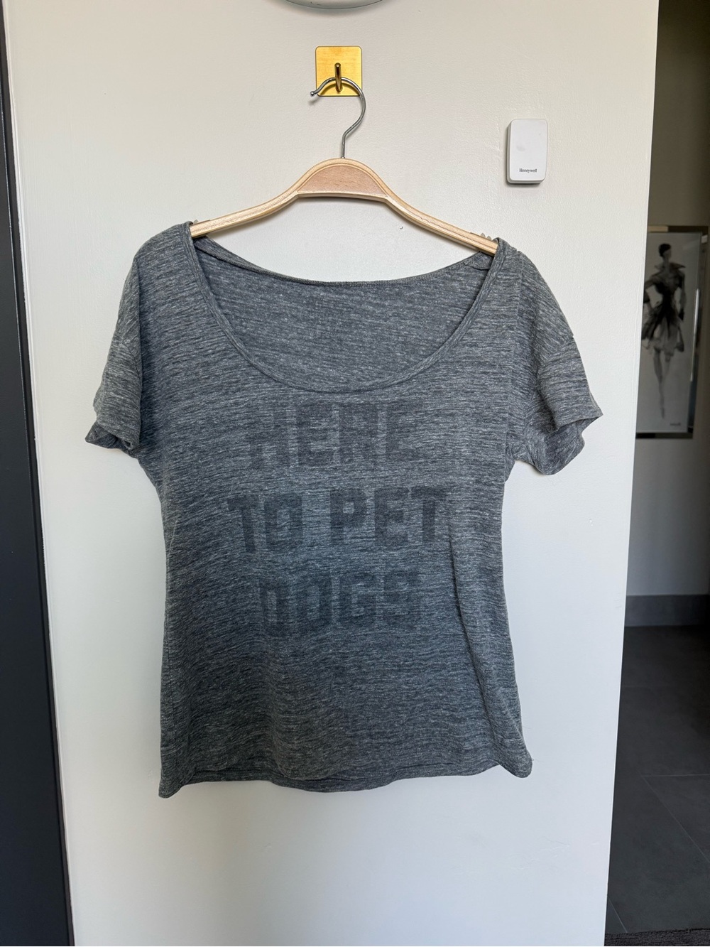 Buy Me Brunch Here To Pet Dogs Graphic Tee Gray Burnout Grunge Size S - Picture 7 of 7